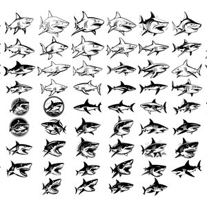SHARK SVG, SHARK Svg Cut Files For Cricut, Shark Clipart, Shark Silhouettes Svg, White Shark Svg