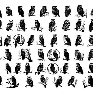 Pacchetto SVG OWL, Clipart OWL, File SVG gufo per Cricut, File di taglio SVG gufo per Cricut, Silhouette di uccello SVG