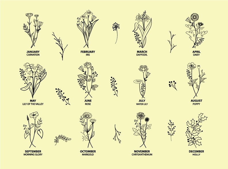May include: A black and white line drawing illustration of flowers representing each month of the year. January is a carnation, February is an iris, March is a daffodil, April is a daisy, May is a lily of the valley, June is a rose, July is a water lily, August is a poppy, September is a morning glory, October is a marigold, November is a chrysanthemum, and December is holly.