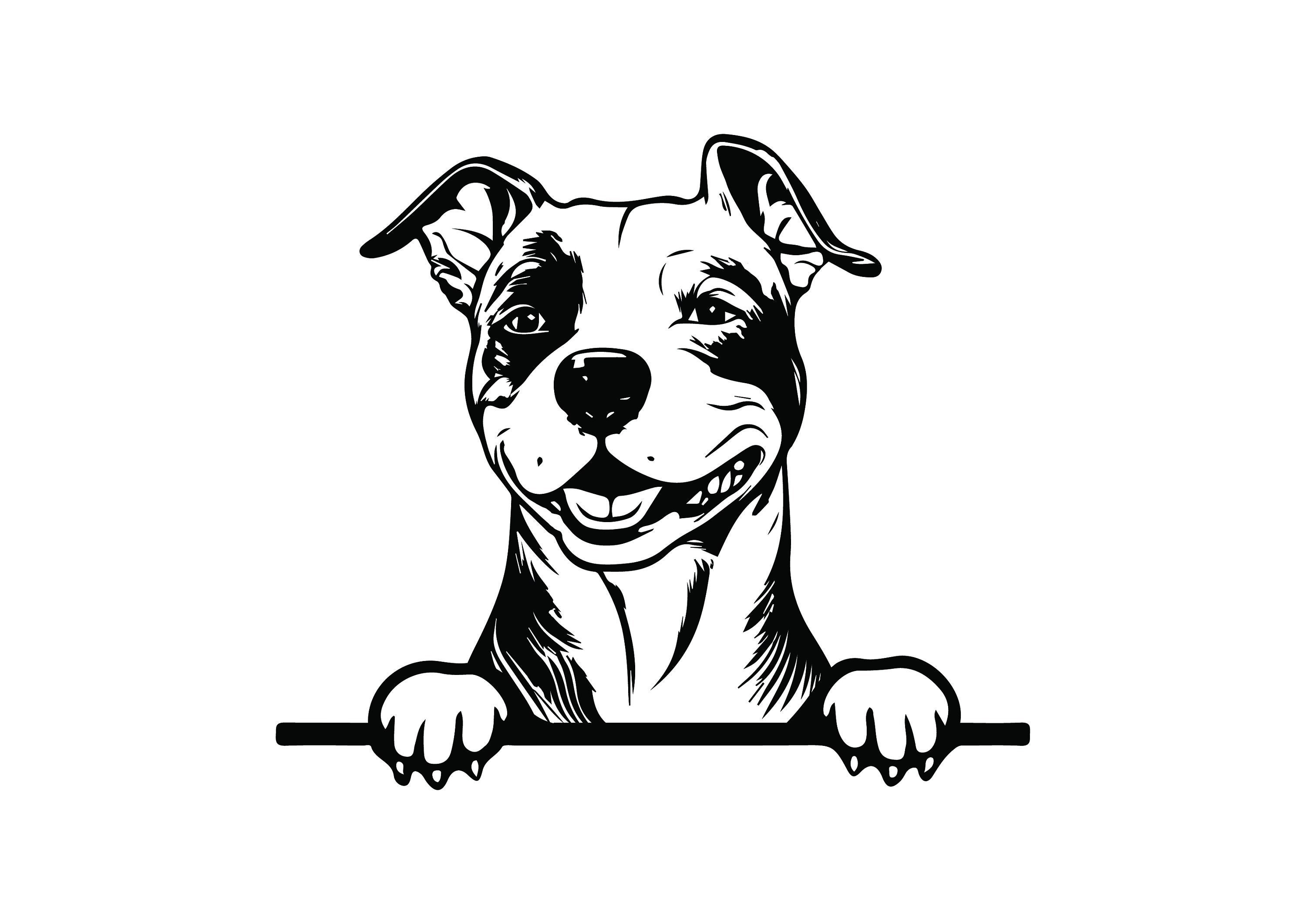 AMSTAFF SVG AMSTAFF Clipart Amstaff Svg Files For Cricut lupon.gov.ph