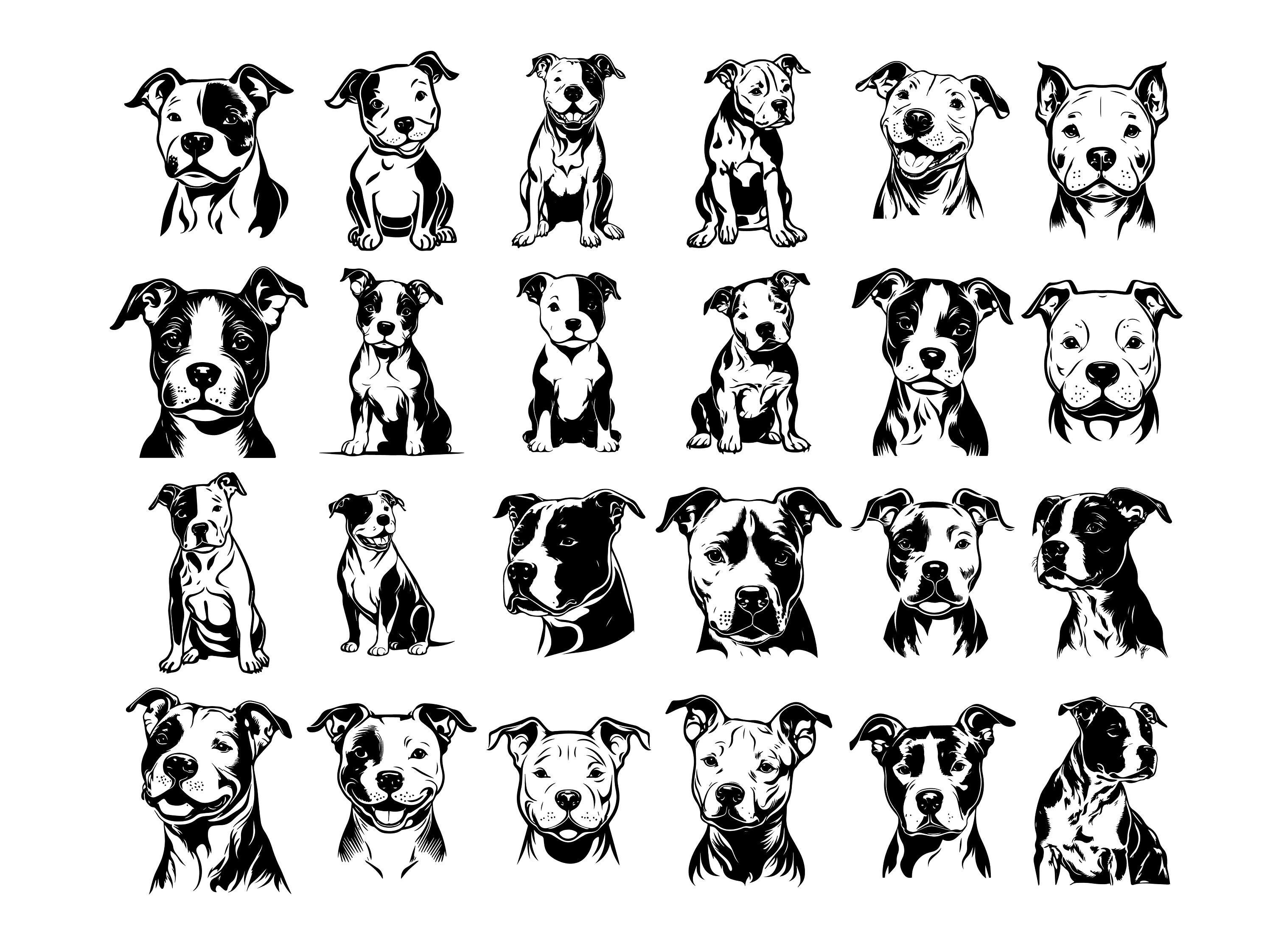 PITBULL SVG PITBULL Clipart Pitbull Svg Files for Cricut - Etsy UK