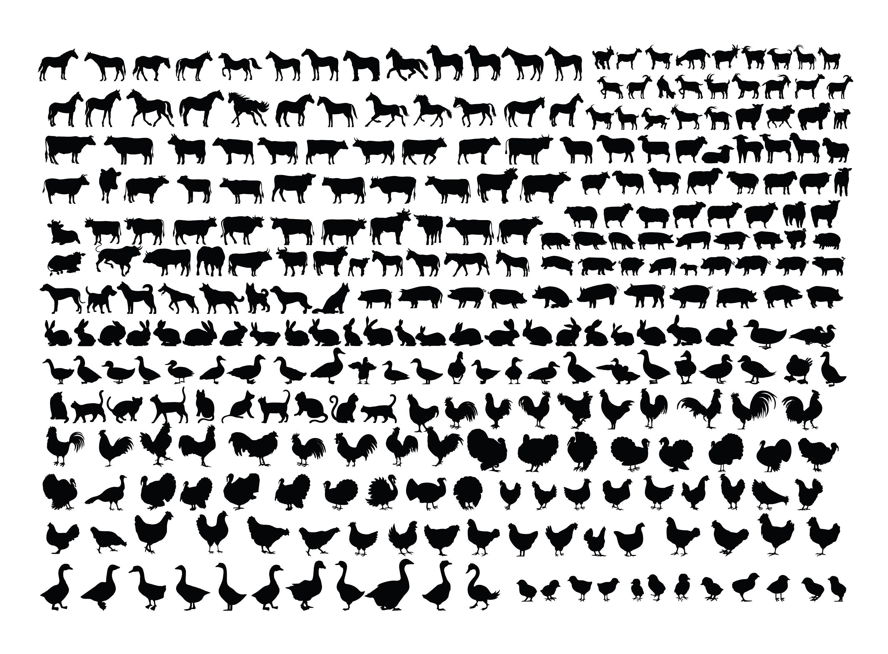 FARM ANIMALS SVG Bundle, Farm Animal Svg cut files for Cricut, Cow Svg, Horse Svg, Farm svg, Pig Svg