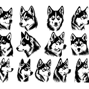 SIBERIAN HUSKY SVG, Siberian Husky Clipart, Siberian Husky Svg Files For Cricut