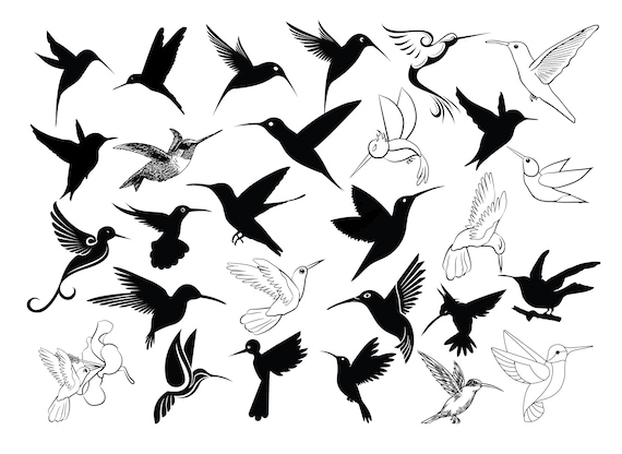 Download Hummingbird Svg Hummingbird Clipart Hummingbird Svg Cut Etsy