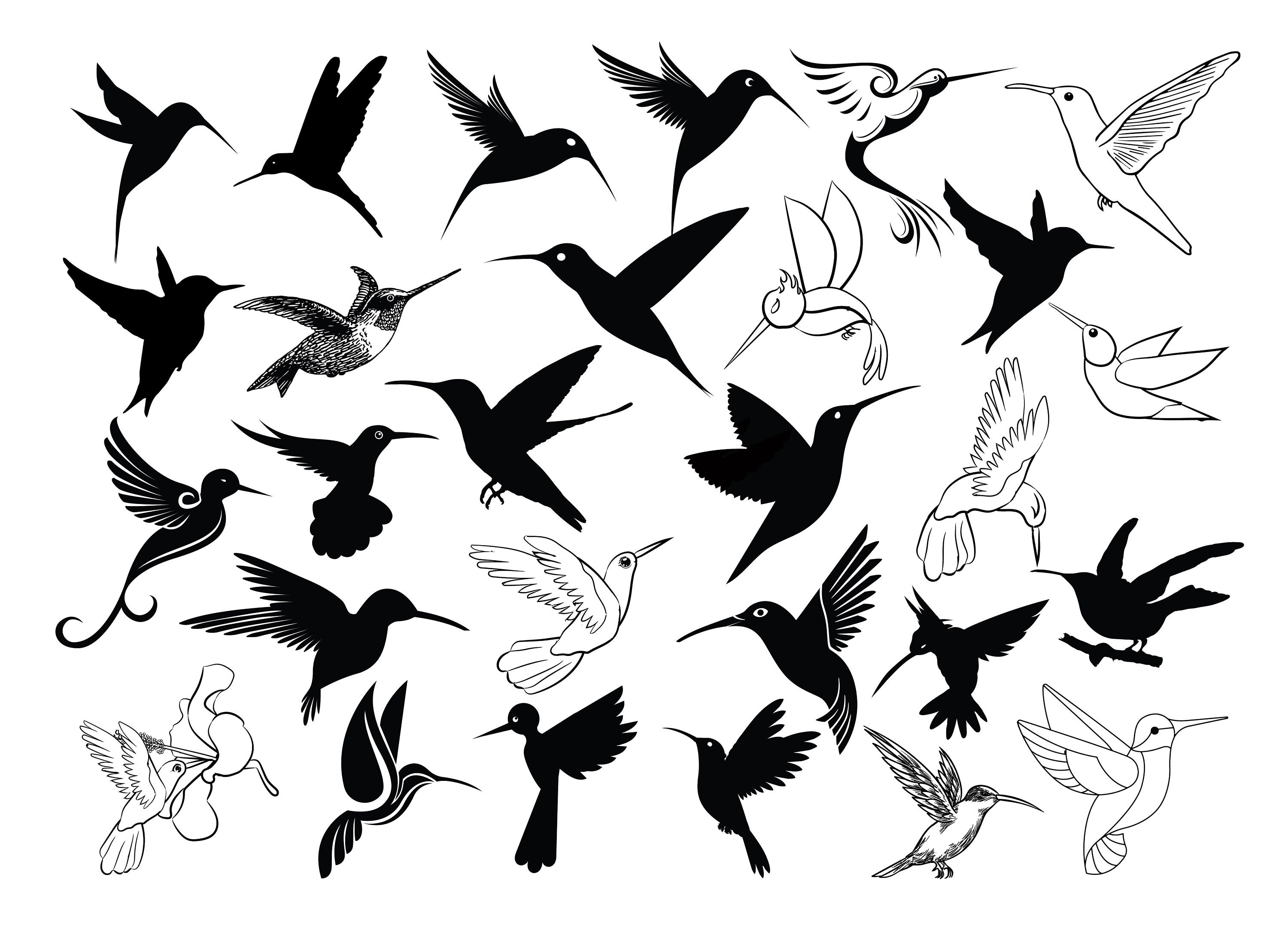 Free Free 169 Free Hummingbird Svg Files SVG PNG EPS DXF File