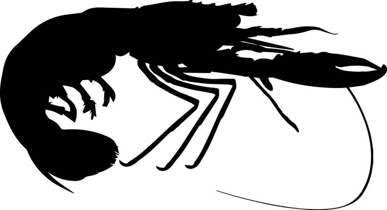 May include: Black silhouette of a shrimp with its legs and tail curled up.