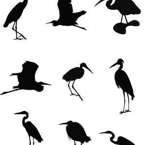 Louisiana SVG Egrets SVG SVG Egrets Clipart Bird Svg - Etsy