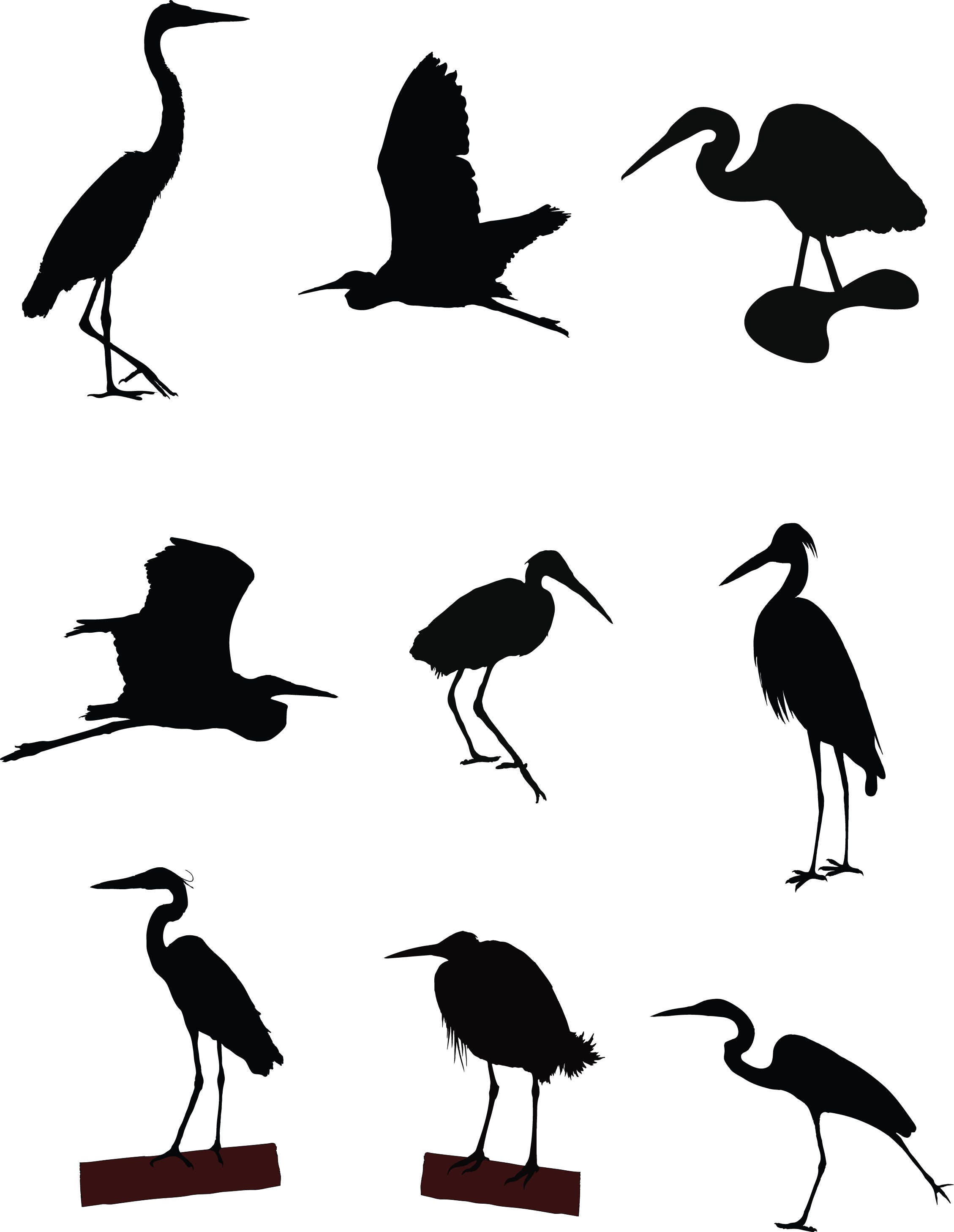 Louisiana SVG Egrets SVG SVG Egrets Clipart Bird Svg - Etsy