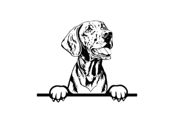 PEEKING VIZSLA SVG, Peeking Vizsla Clipart, Peeking Vizsla Svg - Main Image