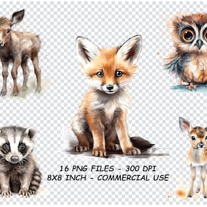 WOODLAND ANIMALS Clipart WATERCOLOR Png, Woodland Animals Clipart Png Files, Transparent Background Png