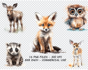 WOODLAND ANIMALS Clipart WATERCOLOR Png, Woodland Animals Clipart Png Files, Transparent Background Png