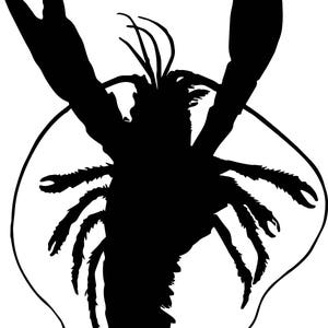 May include: Black silhouette of a lobster with its claws raised. The lobster is facing forward with its tail curled underneath its body.