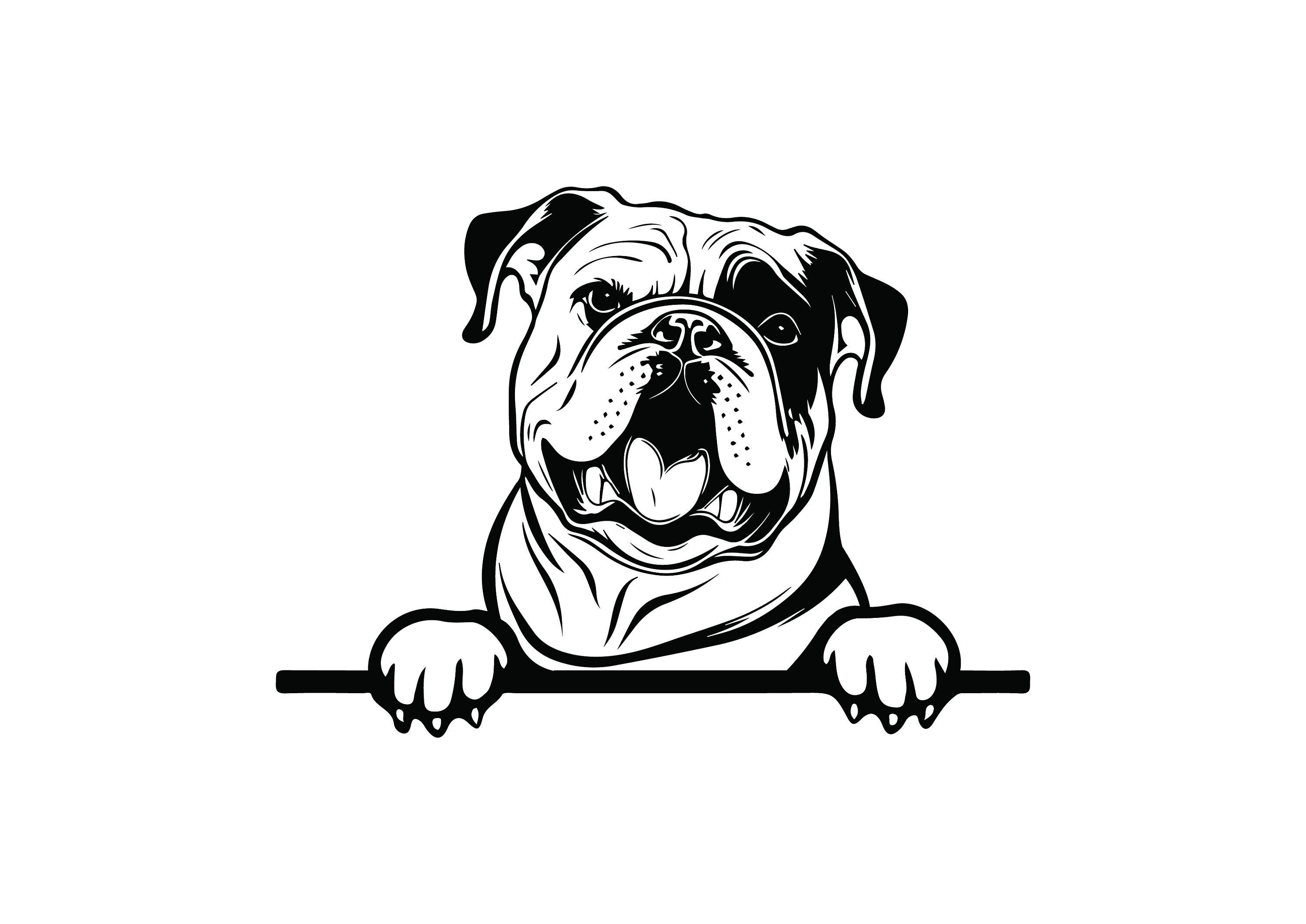 PEEKING ENGLISH BULLDOG Svg Peeking English Bulldog Clipart - Etsy