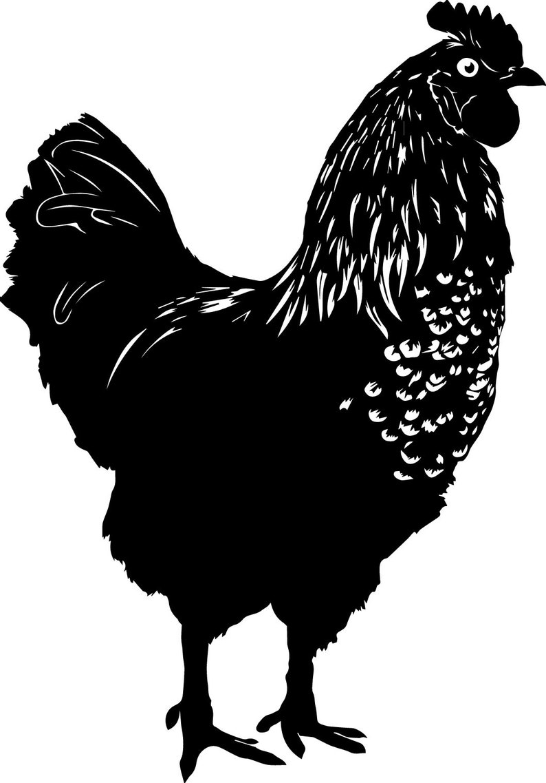Download Cricut Scanncut Chicken Svg File Silhouette Cameo Svg Files Hen Svg Hen Hen Clipart Hen Cut Files Chicken Clipart Hen Svg Files Clip Art Art Collectibles Safarni Org