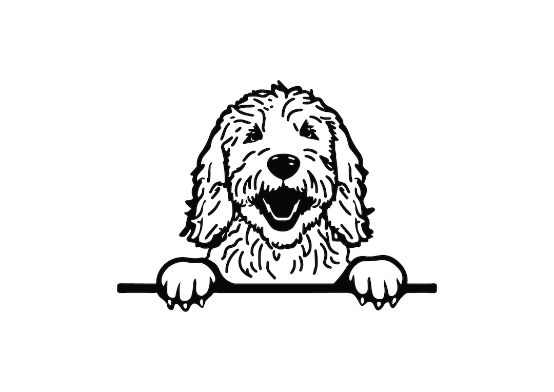 PEEKING GOLDENDOODLE Svg, Peeking Goldendoodle Clipart, Peeking