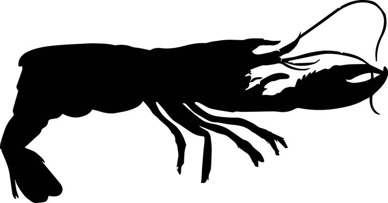 May include: Black silhouette of a shrimp with its tail curled up and its claws extended.