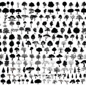 Pacchetto SVG SILHOUETTE DELL'ALBERO, file di taglio dell'albero per Cricut, file Svg della foresta, clipart dell'albero