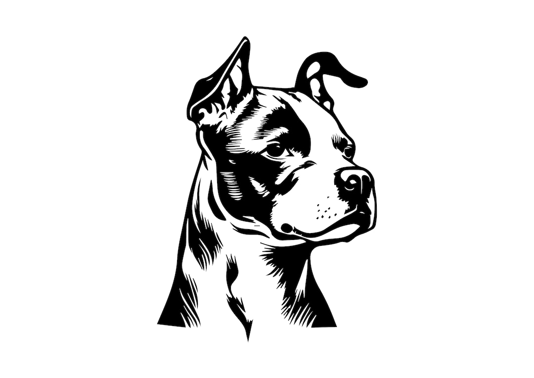 AMSTAFF SVG, AMSTAFF Clipart, Amstaff Svg Files for Cricut, American