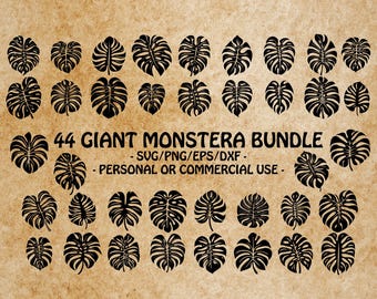 GIANT MONSTERA SVG, Tropical Leaf Clipart, Monstera Leaf Design Svg Files For Cricut, Jungle Decor Template