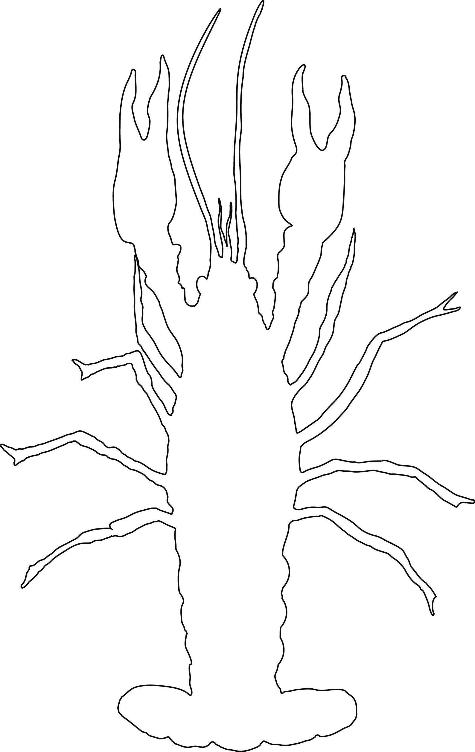 Crawfish Cut File Clip Art SVG Cricut Silhouette Cameo Etsy