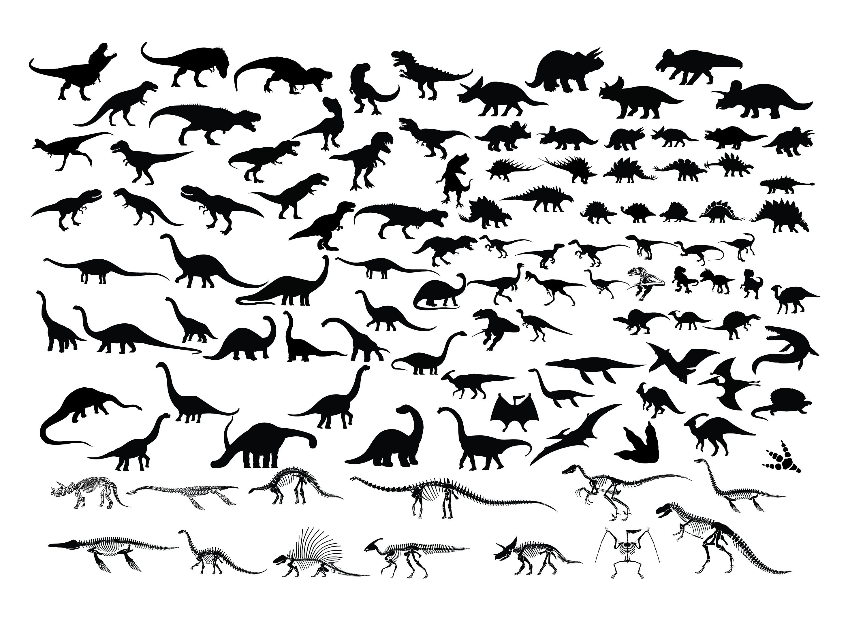 Download Dinosaur Svg Bundle Dinosaur Clipart Dinosaur Svg Cut File Etsy