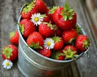 Strawberries and Daisies Counted Cross Stitch Pattern, Summer Cross Stitch – PDF download