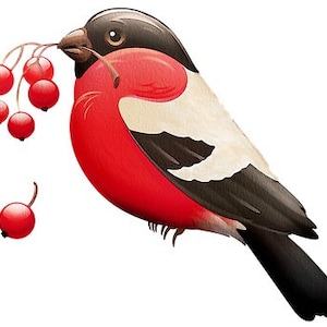 Red Robin Counted Cross Stitch Pattern, Bird Counted Cross Stitch Pattern, Nature Counted Cross Stitch Pattern – PDF Download
