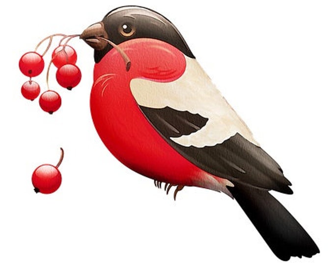 Red Robin Counted Cross Stitch Pattern, Bird Counted Cross Stitch Pattern, Nature Counted Cross Stitch Pattern – PDF Download