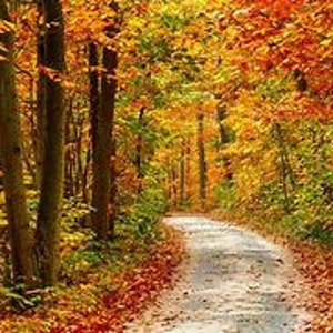 Fall Road Counted Cross Stitch Pattern, Scenic Cross Stitch, Nature Cross Stitch, Autumn Cross Stitch – PDF Download