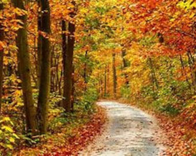 Fall Road Counted Cross Stitch Pattern, Scenic Cross Stitch, Nature Cross Stitch, Autumn Cross Stitch – PDF Download