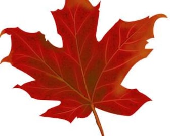 Autumn Maple Leaf Counted Cross Stitch Pattern, Fall Counted Cross Stitch Pattern - PDF Download
