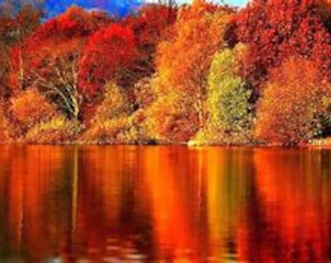 Fall Lake Counted Cross Stitch Pattern, Scenic Cross Stitch, Nature Cross Stitch, Autumn Cross Stitch – PDF Download