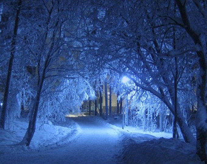 Winter Night Counted Cross Stitch Pattern, Scenic Winter Cross Stitch Pattern, Snowy Cross Stitch Pattern – PDF Download