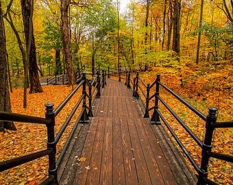 Fall Path Counted Cross Stitch Pattern, Scenic Cross Stitch Pattern, Nature Counted Cross Stitch, Autumn Cross Stitch Pattern– PDF Download