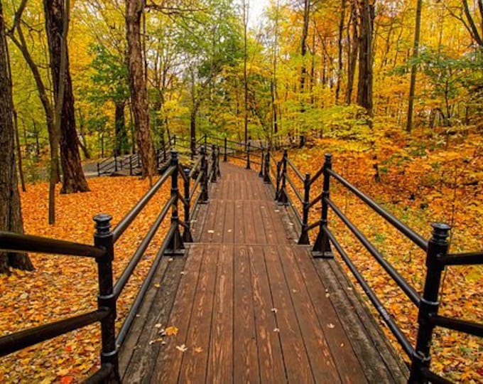 Fall Path Counted Cross Stitch Pattern, Scenic Cross Stitch Pattern, Nature Counted Cross Stitch, Autumn Cross Stitch Pattern– PDF Download