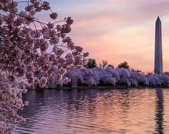 DC Cherry Blossoms Counted Cross Stitch Pattern, Scenic Cross Stitch, Spring Cross Stitch, Floral Cross Stitch, Washington DC – PDF Download