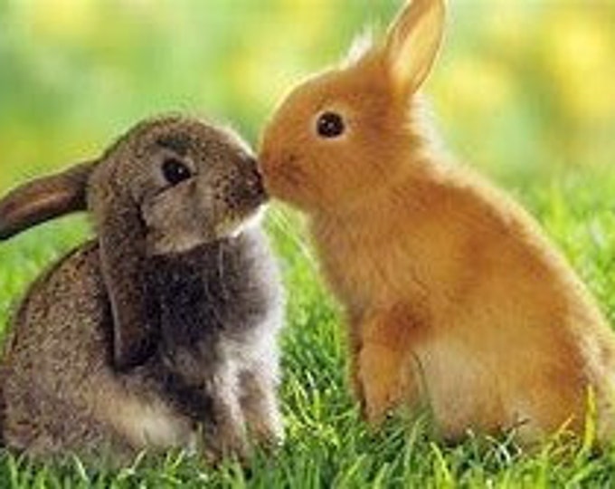 Bunny Love Counted Cross Stitch Pattern, Love and Romance, Spring Counted Cross Stitch – PDF Download