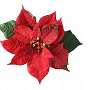 Poinsettia Counted Cross Stitch Pattern, Christmas Counted Cross Stitch Pattern – PDF Download