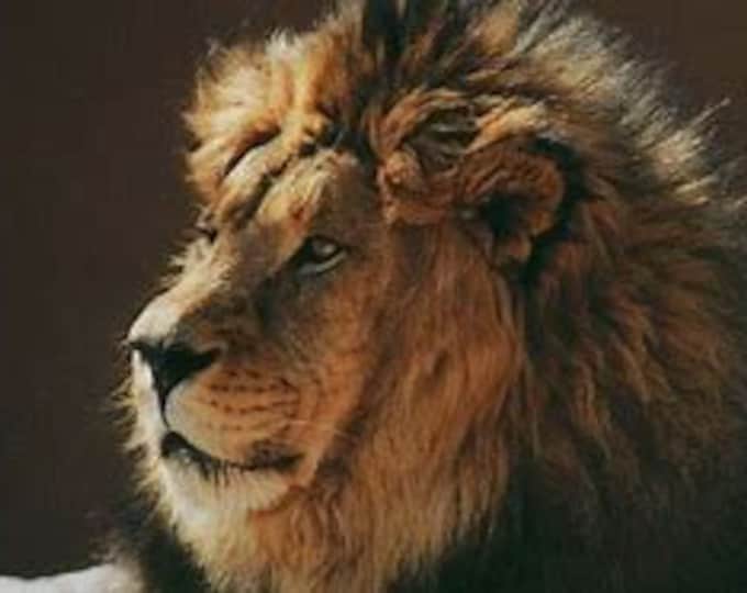 Lion Profile Counted Cross Stitch Pattern, Animal Counted Cross Stitch Pattern, Wildlife Counted Cross Stitch Pattern – PDF Download