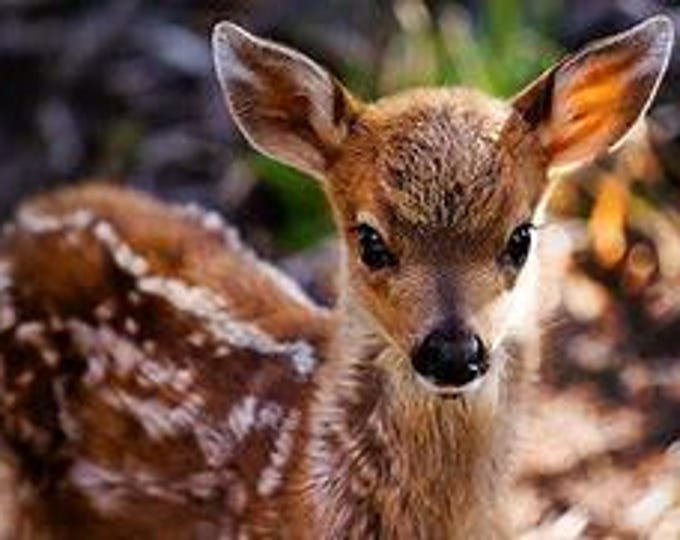 Deer Counted Cross Stitch Pattern, Animal, Wildlife - PDF Download