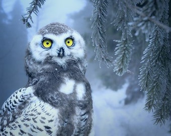 Snow Owl Counted Cross Stitch Pattern, Winter Counted Cross Stitch Pattern, Wildlife Counted Cross Stitch Pattern – PDF Download