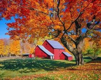 Fall Barn Counted Cross Stitch Pattern, Scenic Cross Stitch Pattern, Autumn Cross Stitch Pattern, Rustic Cross Stitch Pattern – PDF Download