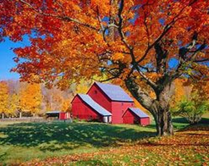 Fall Barn Counted Cross Stitch Pattern, Scenic Cross Stitch Pattern, Autumn Cross Stitch Pattern, Rustic Cross Stitch Pattern – PDF Download