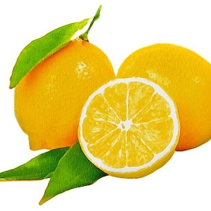 Lemons Counted Cross Stitch Pattern, Fruit Cross Stitch, Food Cross Stitch, Kitchen Cross Stitch Pattern – PDF Download