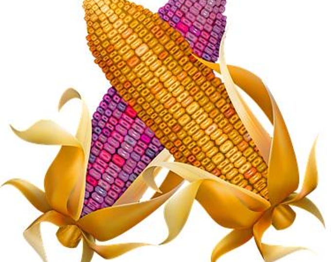 Fall Corn Counted Cross Stitch Pattern, Harvest Decor, Digital PDF Download