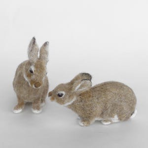 Needle Felted Rabbit Figurines: Handmade Wool Bunny Decor (Set of 2)