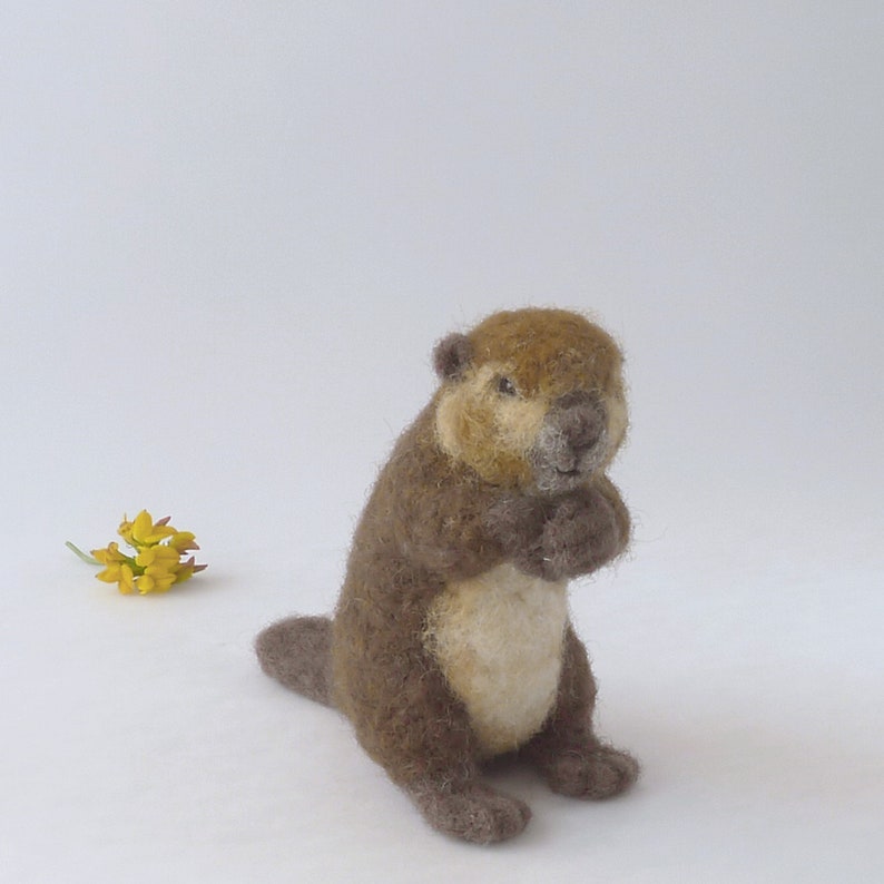 Needle Felted Beaver/felted Beaver/felt Beaver/realistic Etsy
