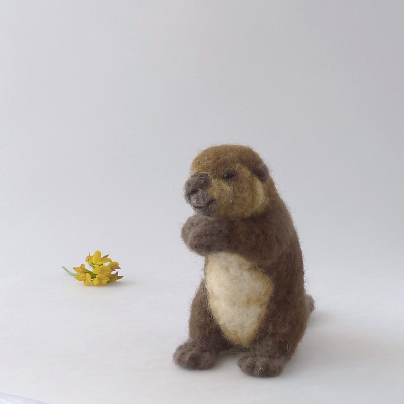 Needle Felted Beaver/felted Beaver/felt Beaver/realistic Etsy