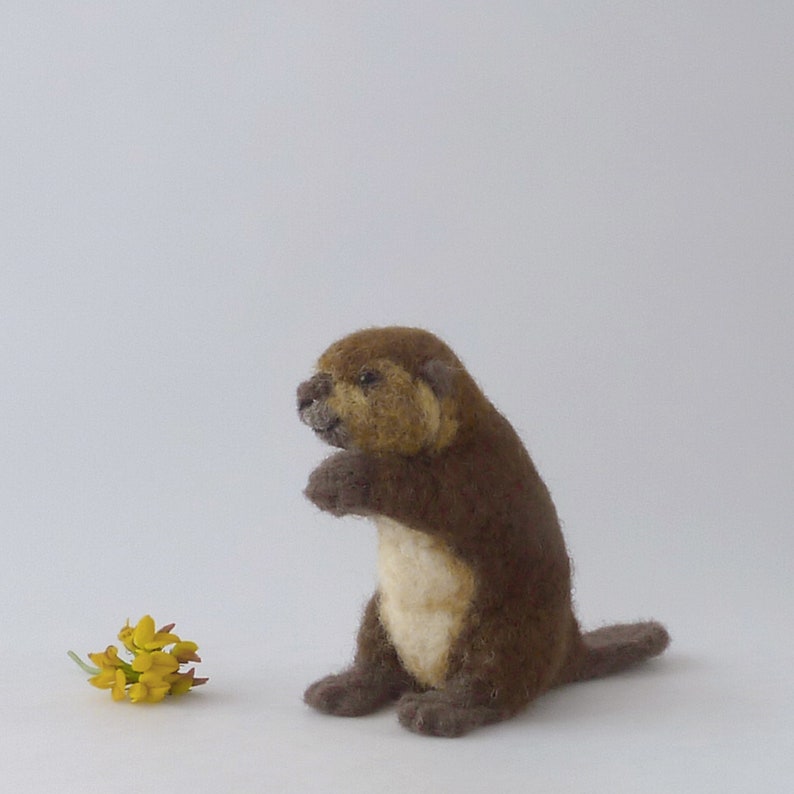 Needle Felted Beaver/felted Beaver/felt Beaver/realistic Etsy