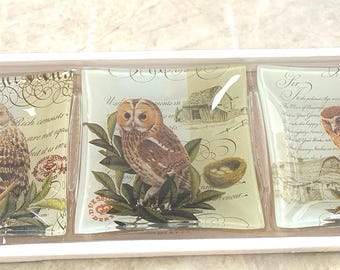 Set of 3 Owl Glass Plates with Vintage Style Quotes Decorative Set